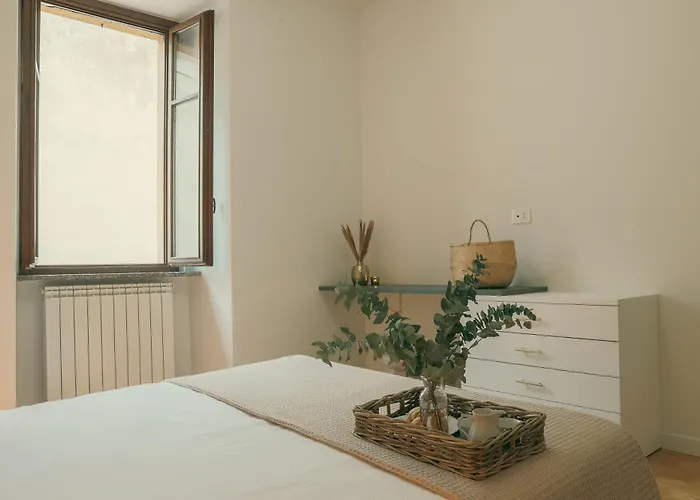 Rafael - By Myhomeincomo *